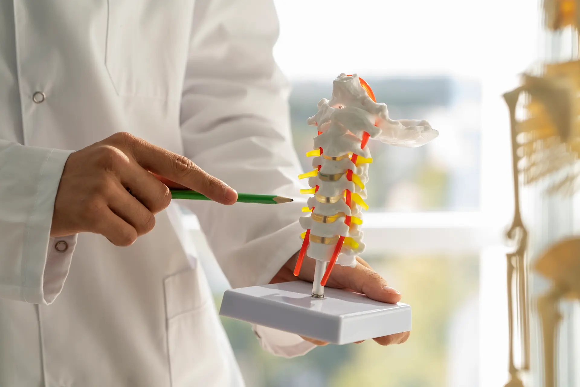 Spinal Fusion